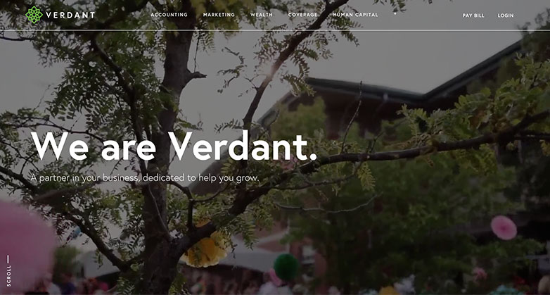 The design of the Verdant accounting website uses a full-screen video as a transition element on the welcome screen.