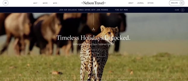 Nelson Travel Home Page with an eye catching hero image and user-friendly navigation bar.
