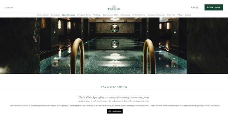 The Ned Spa website with elegant theme designed